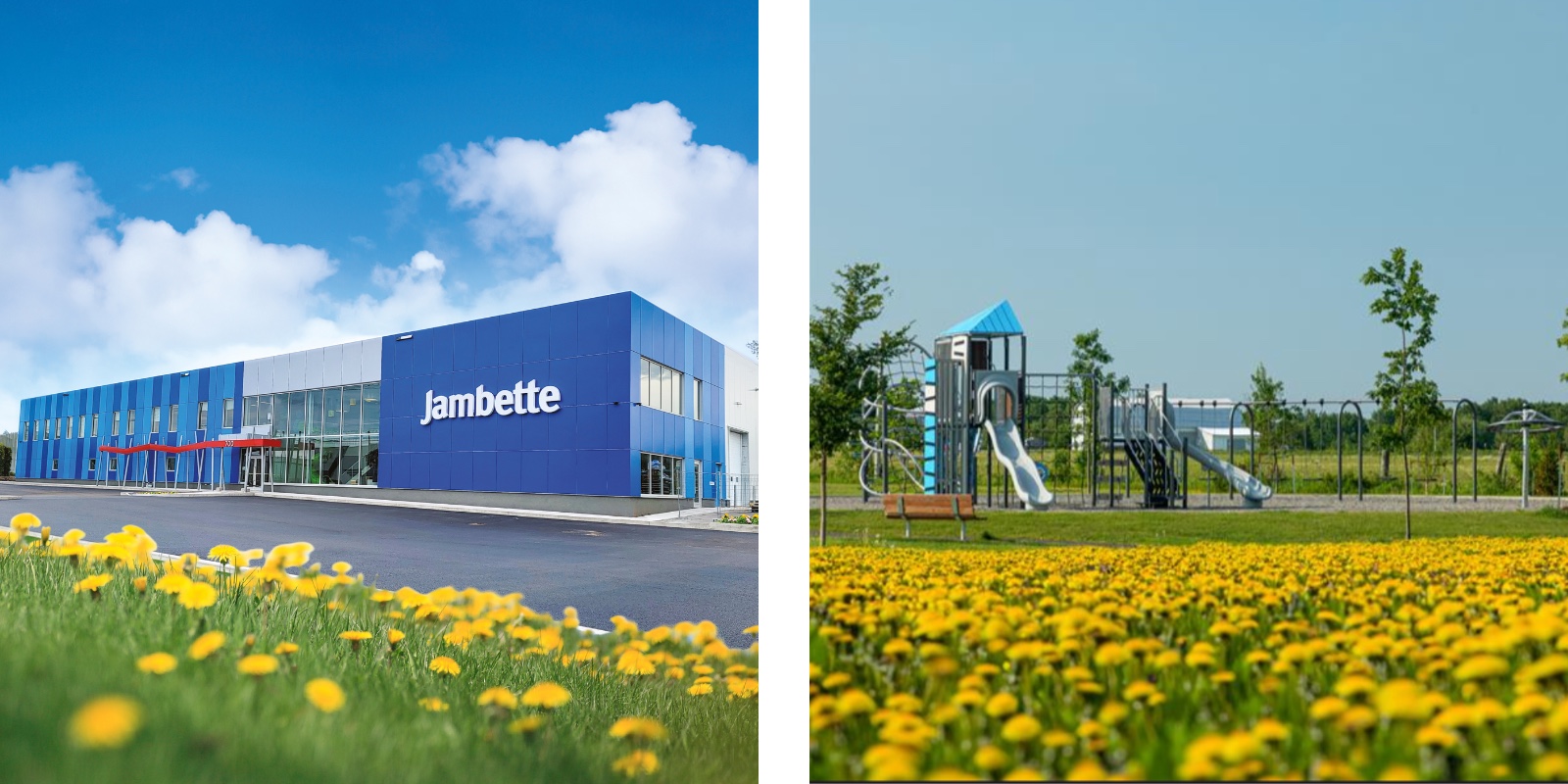 defi_pissenlits_2025